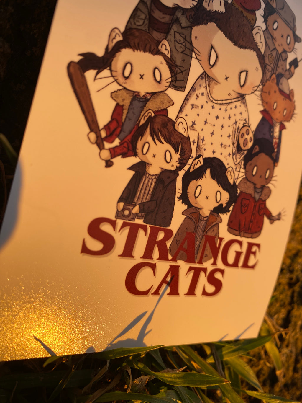 strange cats print